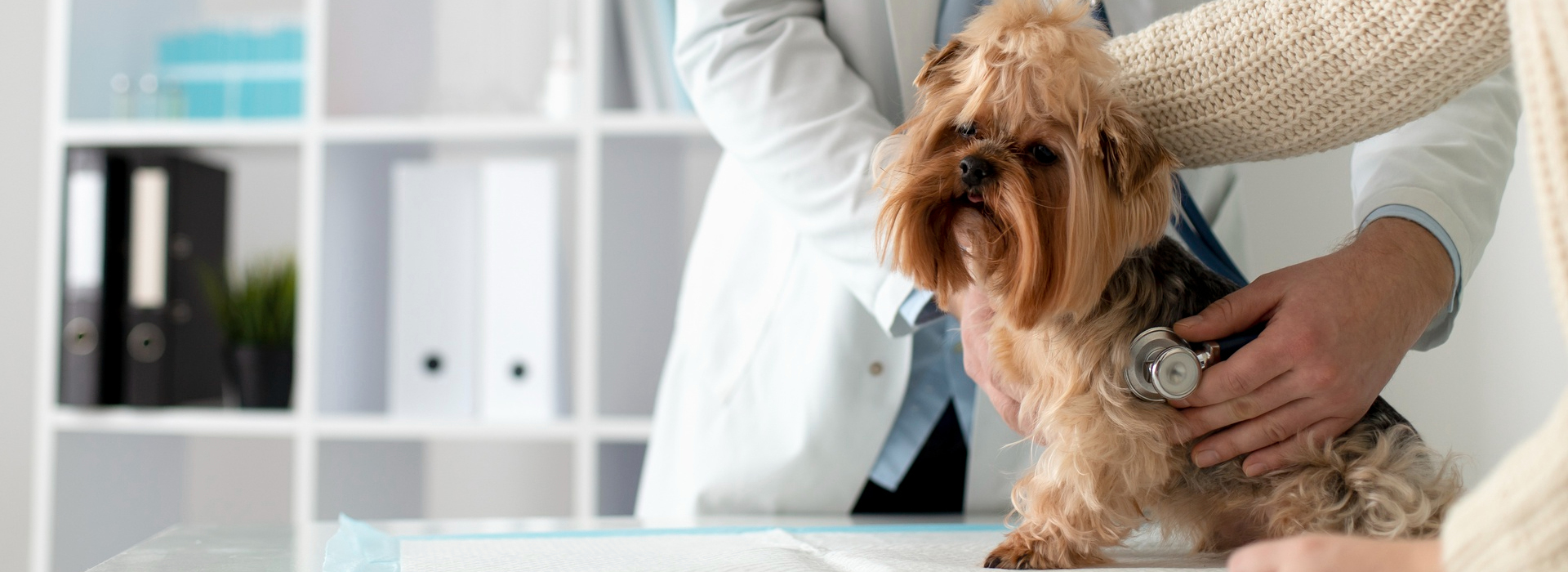 farmido-banner-slider-veterinary.jpg
