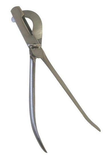 Castration Spaying