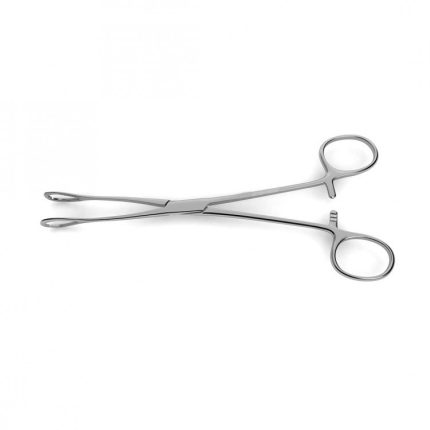 Foerster Sponge Forceps